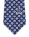 Tottenham Hotspur football club
